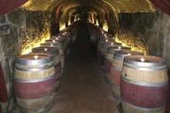 San Francisco Napa Wine Tour thumbnail 4
