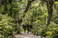 Savannah Cemetery and Historic Site Tour thumbnail 6