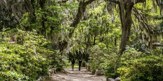 Savannah Cemetery and Historic Site Tour - Image 6