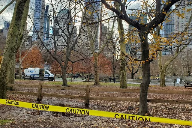 New York Central Park Scandal & Vice Walking Tour 2 hr - Image 1