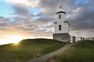 San Juan Islands Wildlife and Coast Tour thumbnail 5