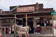 Las Vegas Route 66 Day Tour: Oatman & Kingman thumbnail 3