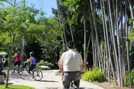 Miami Beach Bike Tour thumbnail 5