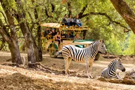 Sonoma Safari Adventure Tour thumbnail 2