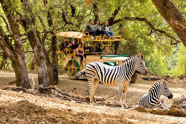 Sonoma Safari Adventure Tour - Image 2