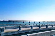 Key West Nature & History Tour thumbnail 4