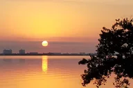 Indian River Lagoon Boat Tour thumbnail 4