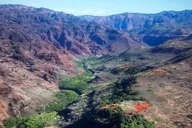 Kauai Waimea Canyon and Kokeʻe State Park Private Tour thumbnail 3