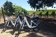 Sedona E-Bike Tour with Wine Tasting 90 Min thumbnail 6