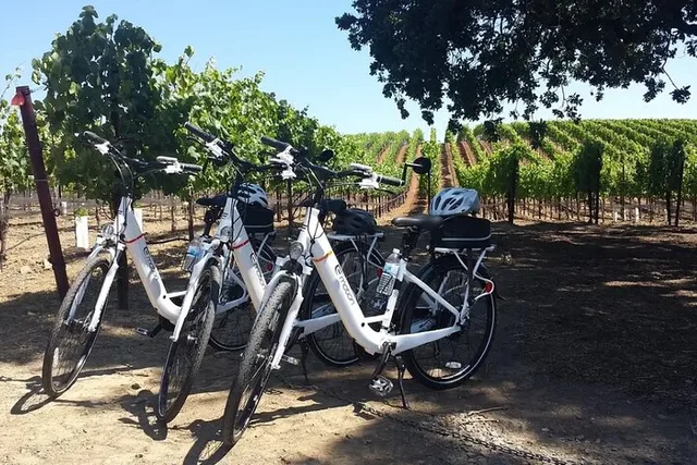 Sedona E-Bike Tour with Wine Tasting 90 Min - Image 6