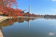Washington DC Private Tour 4 hr thumbnail 6