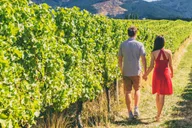 Santa Barbara Horseback Riding and Wine Tasting Tour thumbnail 3