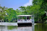 New Orleans Swamp and Bayou Alligator Tour thumbnail 5
