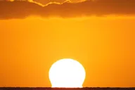 Honolulu Sunset Cruise on Moana Catamaran thumbnail 4