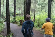 Sitka Alaskan Wilderness Trail Hike thumbnail 2