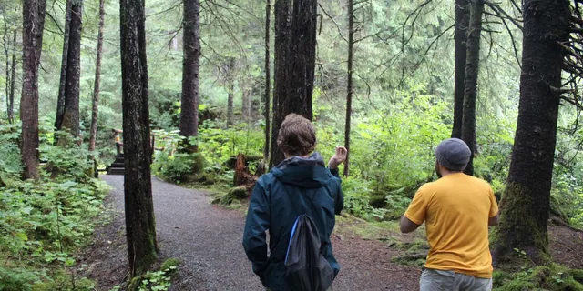 Sitka Alaskan Wilderness Trail Hike - Image 2