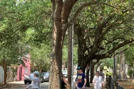 Charleston Strong Women of the South History Tour 2 hr thumbnail 5