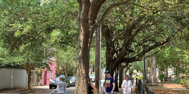Charleston Strong Women of the South History Tour 2 hr - Image 5