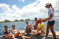 Waikiki Heritage and Diamond Head Wildlife Sail thumbnail 2