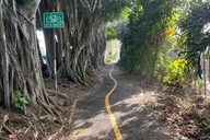 Haleiwa E-Bike Tour thumbnail 4