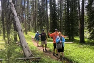 Yellowstone Hidden Gems Private Tour thumbnail 2