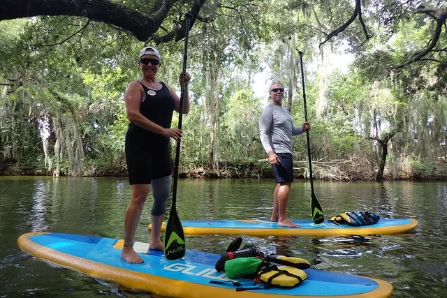 Tavares Wildlife Kayak Tour on Dora Canal - Image 5
