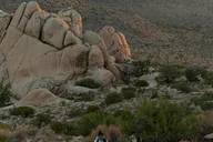 Joshua Tree Small Group Tour and Hike thumbnail 5