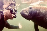 Crystal River Manatee Snorkel Tour thumbnail 3