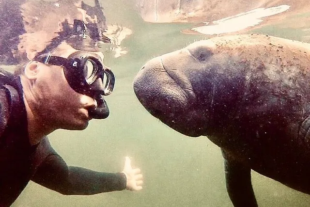 Crystal River Manatee Snorkel Tour - Image 3
