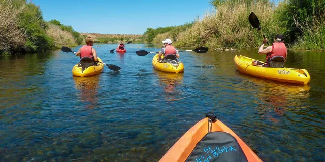 Mesa Kayaking Trip on Saguaro Lake - Image 2
