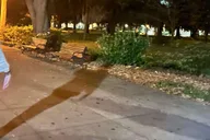 Woodstock Ghost Tour with Pub Crawl 2 hr thumbnail 4