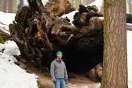 Sequoia National Park Forest Hike thumbnail 5