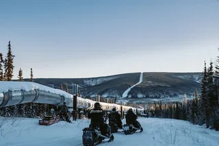 Fairbanks Snowmobile Adventure in Boreal Forest 1 hr