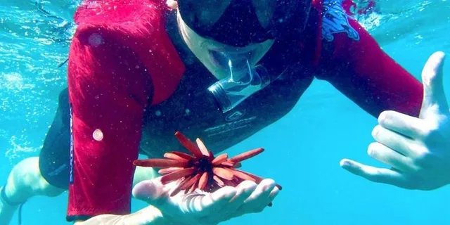 Maui Snorkeling Tour with Flotation Wetsuit - Image 3