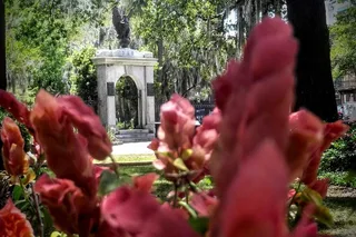 Savannah Botanical Tour