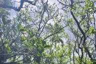 Miami Everglades Airboat Tour thumbnail 4