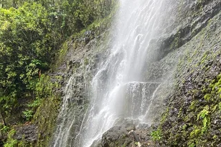 Maui Waterfall and Rainforest Adventure