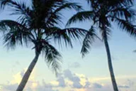Fort Lauderdale to Key West Day Trip thumbnail 4