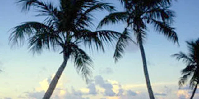 Fort Lauderdale to Key West Day Trip - Image 4