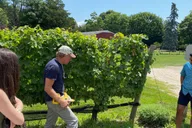 New York City Long Island Wine Tour with Sommelier thumbnail 4