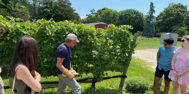 New York City Long Island Wine Tour with Sommelier - Image 4