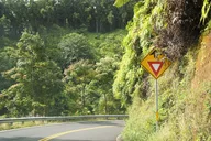 Maui Road to Hāna Tour for Pride of America Passengers thumbnail 3