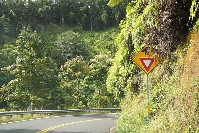 Maui Road to Hāna Tour for Pride of America Passengers - Image 3