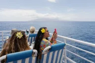 Ma'alaea Turtle Town Snorkel Cruise thumbnail 6