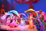 New York Aladdin Broadway Musical 2.5 hr thumbnail 6