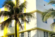 Miami Neighborhoods Walking Tour in French 3.5 hr thumbnail 5