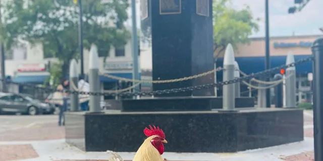 Miami Little Havana Walking Tour - Image 3