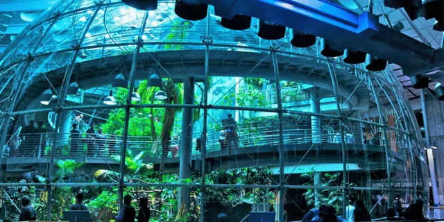 San Francisco NightLife at California Academy of Sciences - Image 5