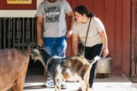Phoenix Zoo General Admission Ticket thumbnail 5