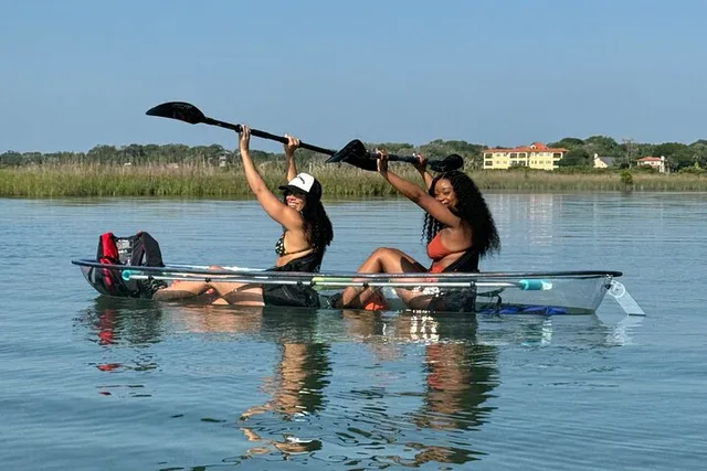 St Augustine Dolphins and Wildlife Ecotour 90 min - Image 2